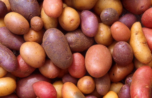 Is It Safe to Eat Sprouted Potatoes? A Toxicologist Settles the Debate